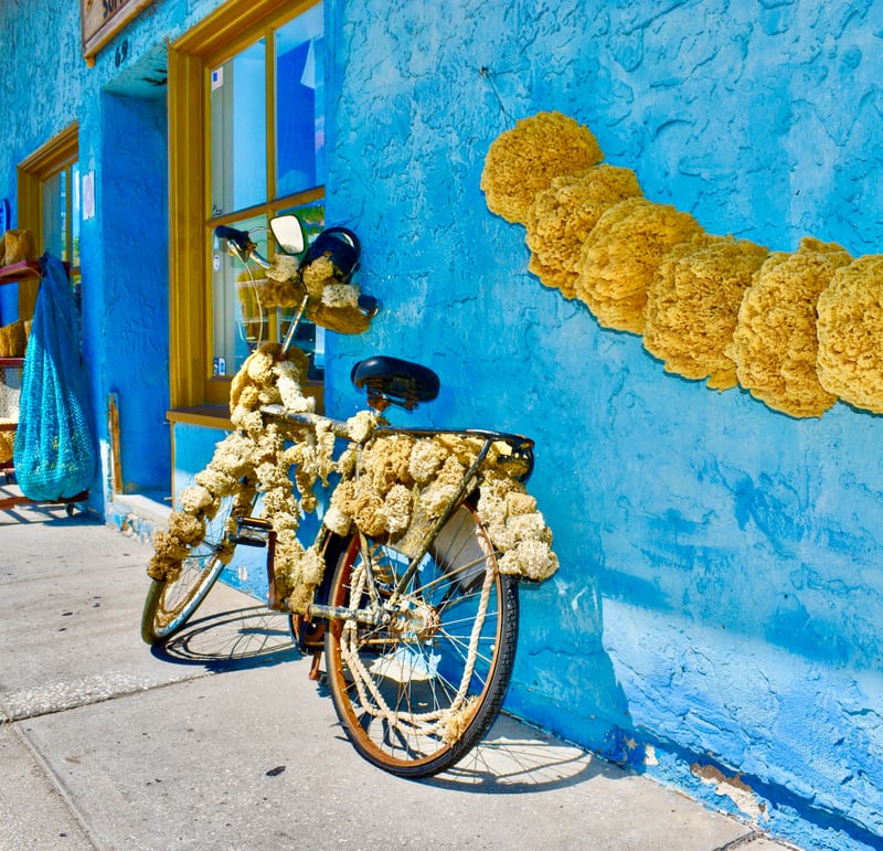 Tarpon Springs Sponge Docks