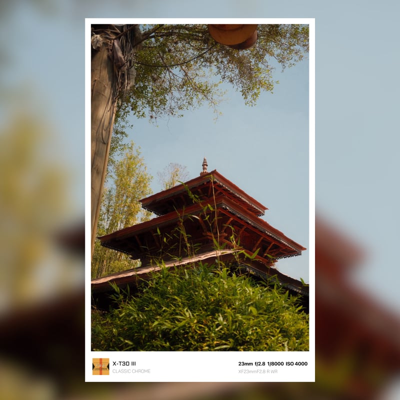 Anandapur Temple, Animal Kingdom