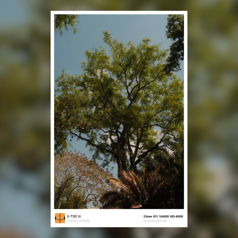 Disney's Animal Kingdom Lodge - Kidani Village