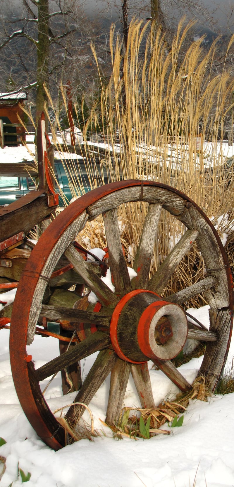 Oak Glen Apple Farm