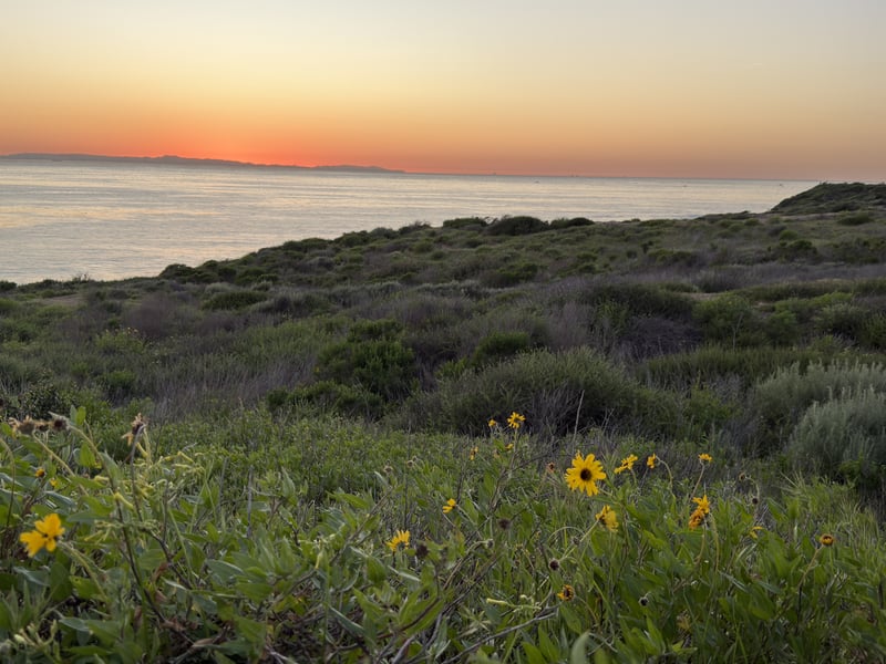 Crystal Cove State Park Bluffs