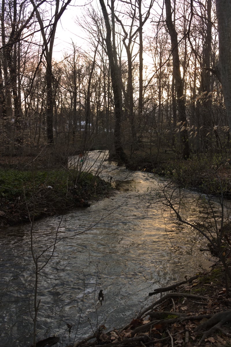 Rocky Run Stream Valley Park