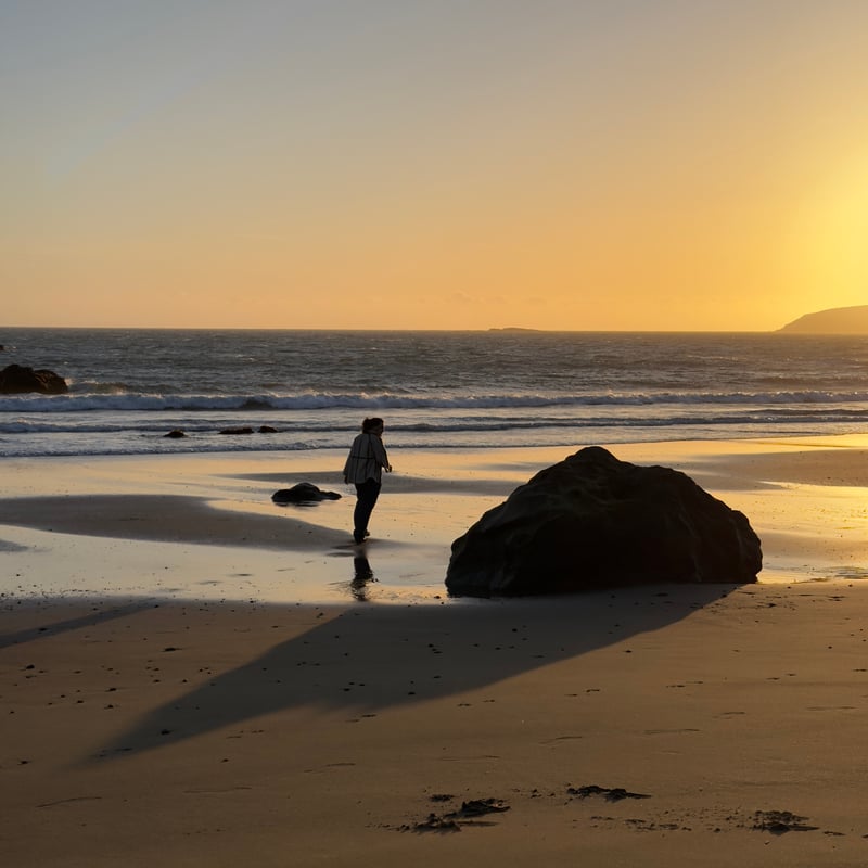 Bodega Bay Coastline