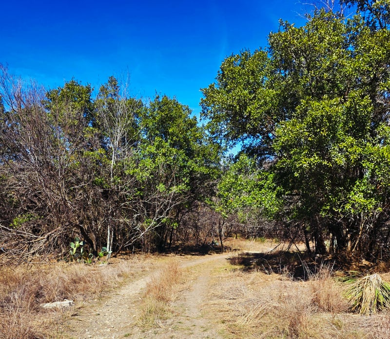 Cathedral Rock Park Trail
