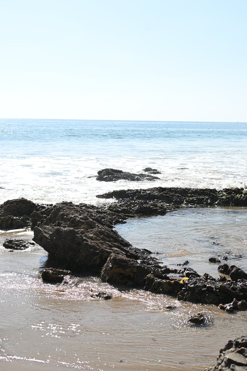 Crystal Cove State Park Tide Pools