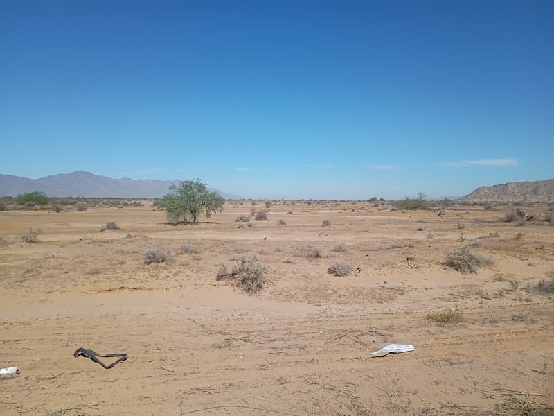 Tempe Desert Scrubland