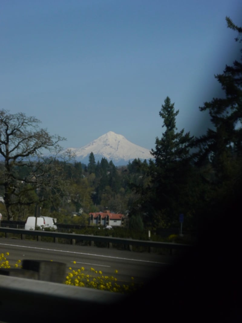 Mt. Hood Viewpoint, West Linn