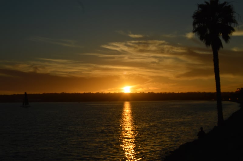 Harbor Island Park