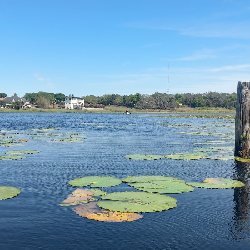 Central Florida Lake Vista