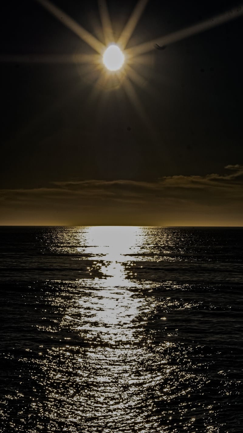 Windansea Beach