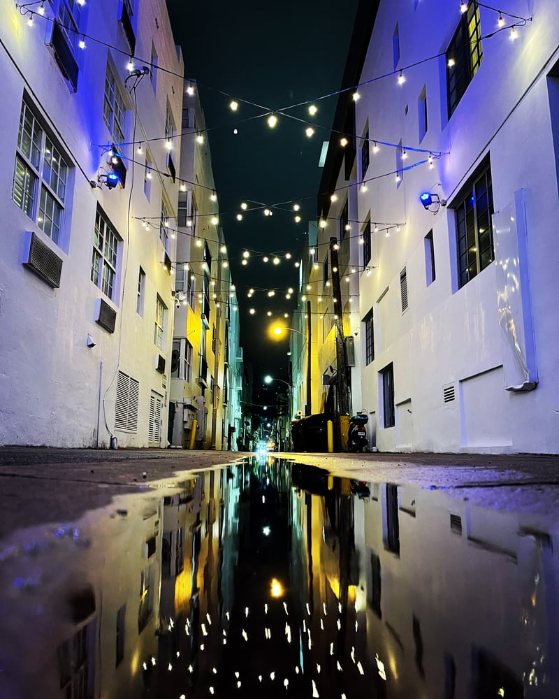 The Betsy Hotel Alleyway