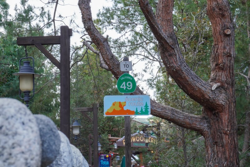 Redwood Creek Challenge Trail