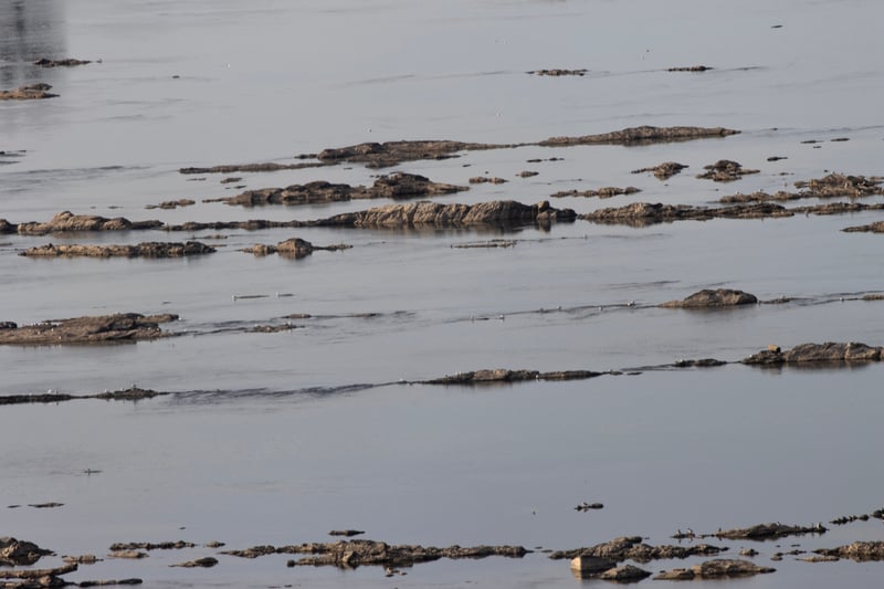 Susquehanna River Shallows