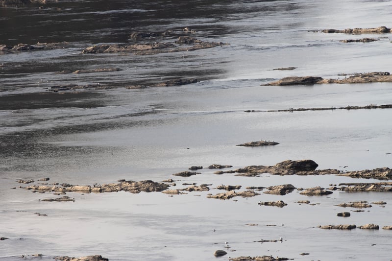 Susquehanna River Rocky Shallows