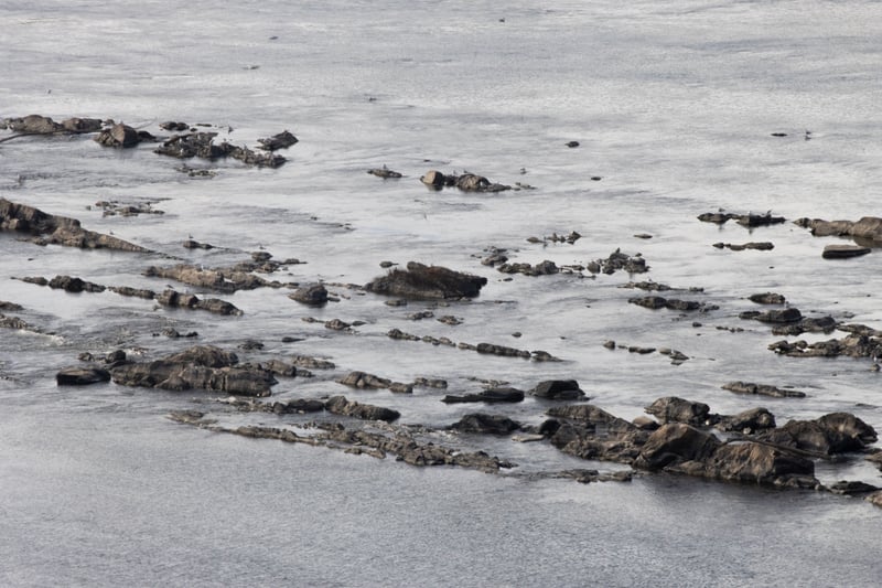 Susquehanna River Rocky Ledges