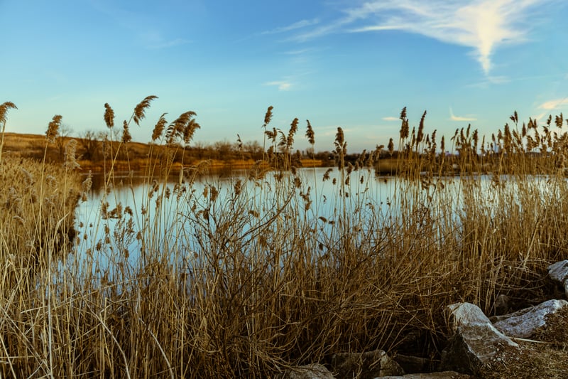 Richard W. DeKorte Park