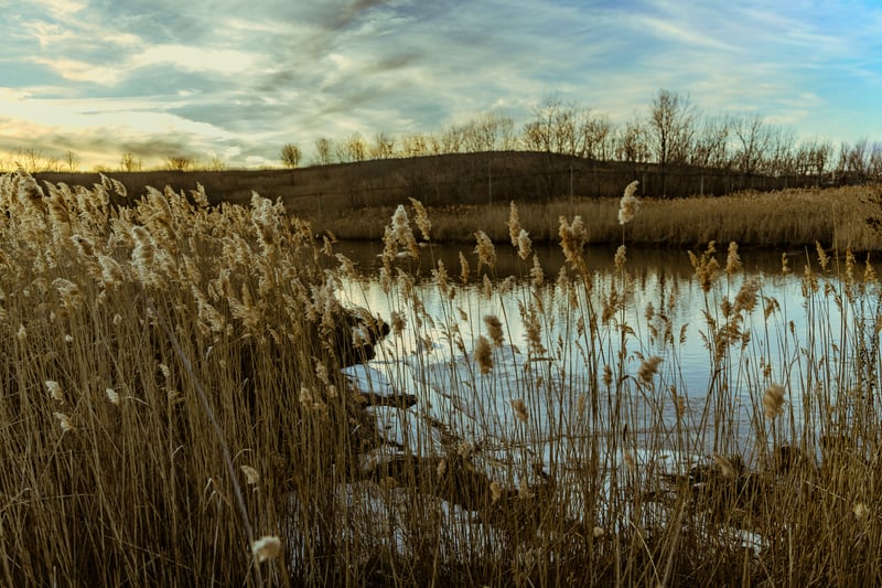 Richard W. DeKorte Park