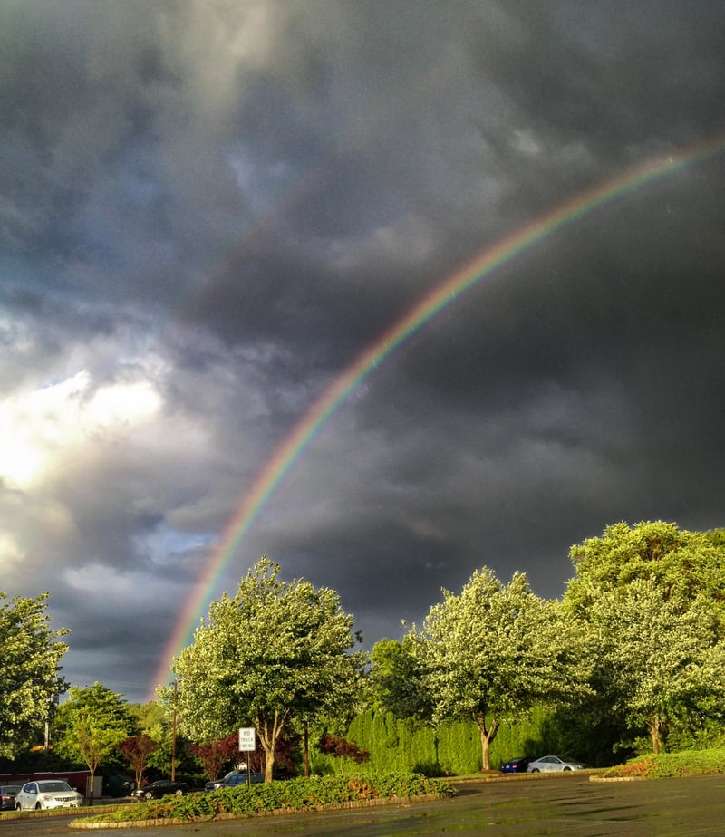 North Charleston Skyview