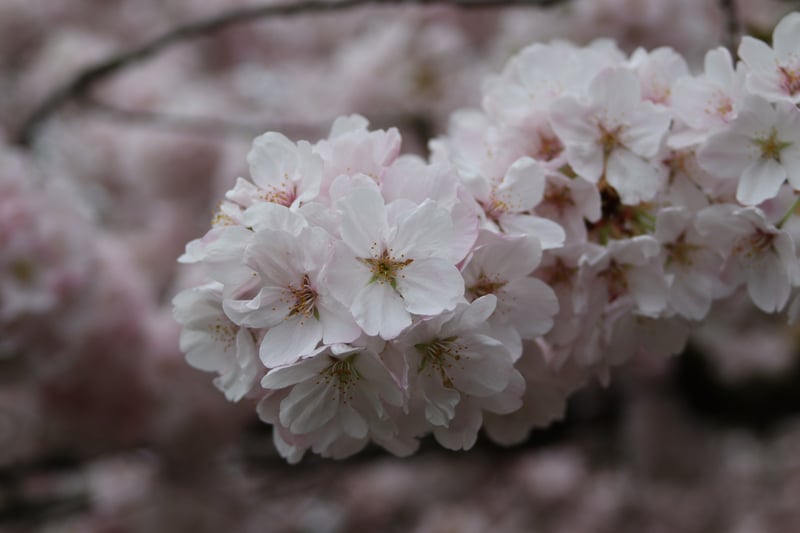 Oregon State Capitol State Park