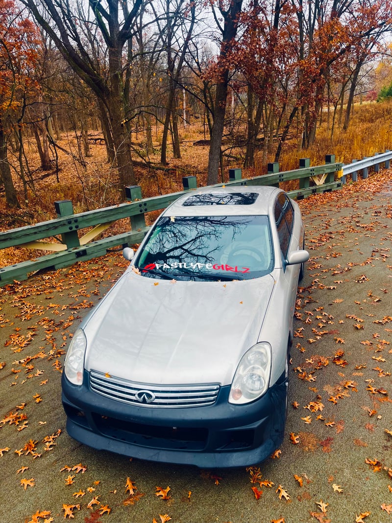 Bullfrog Lake Forest Preserve