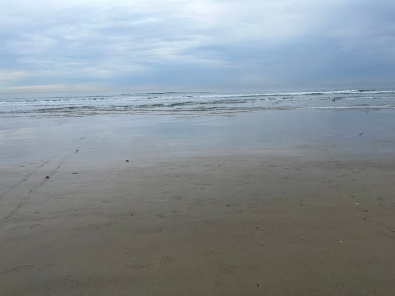 Pacific Beach