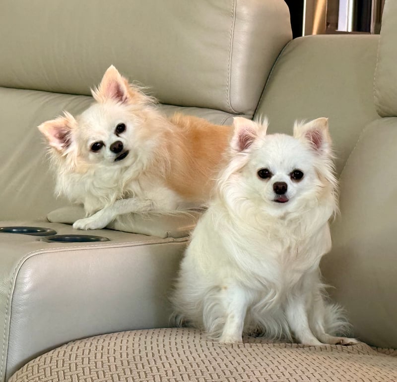 Bonita Springs Home Studio