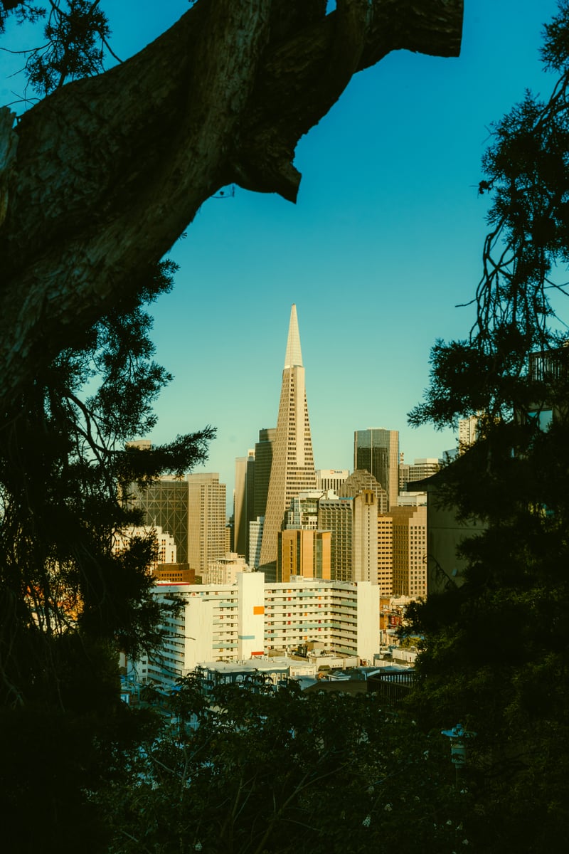 Transamerica Pyramid Framed View