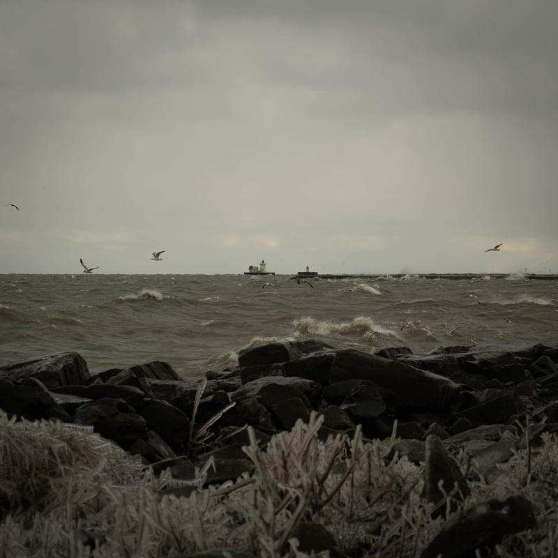 Edgewater Park Shoreline