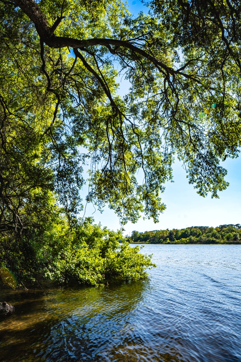 Tampa Lakeside Canopy