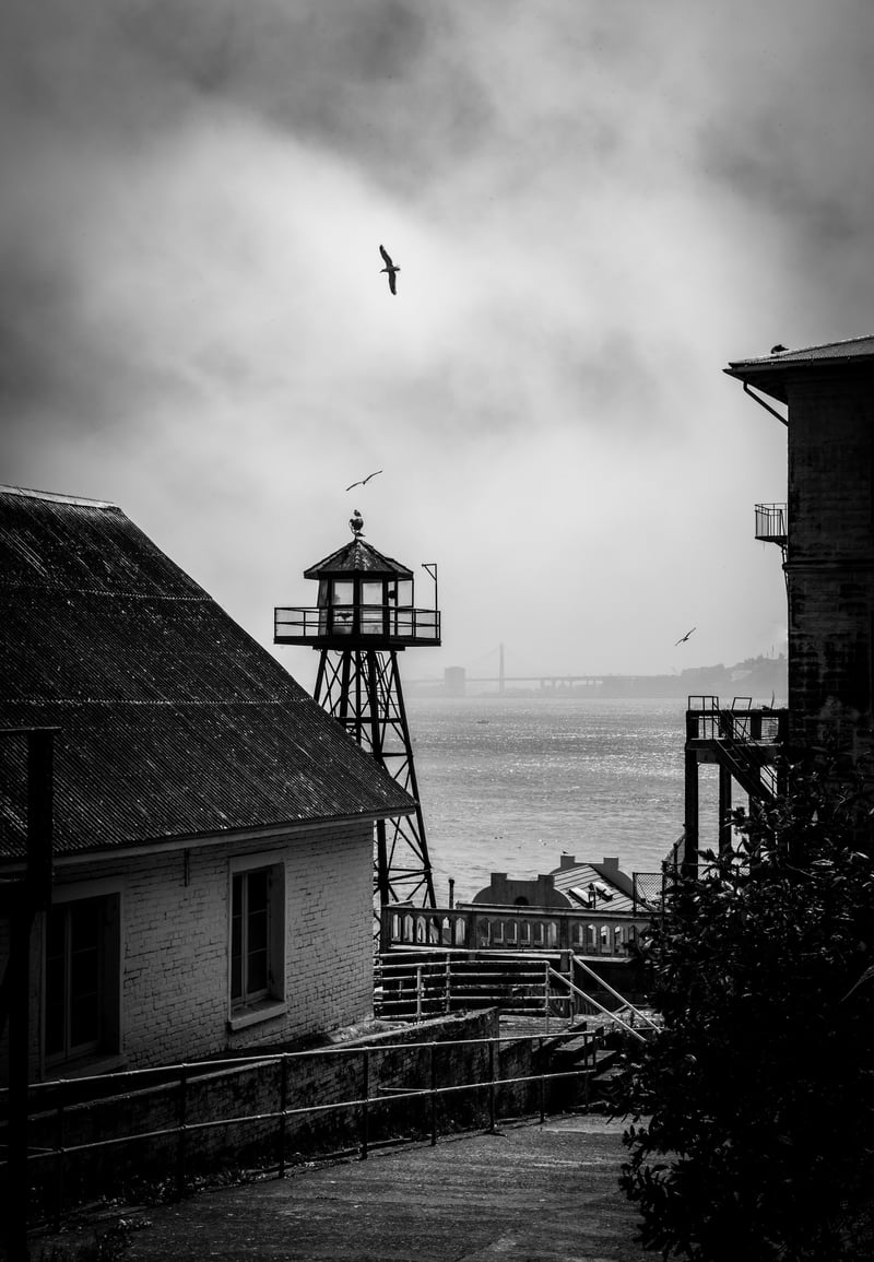 Alcatraz Island