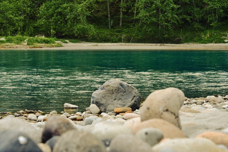 Cowlitz River Shoreline