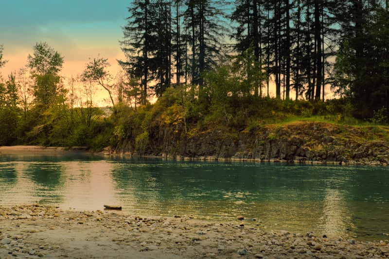 Cowlitz River Bank