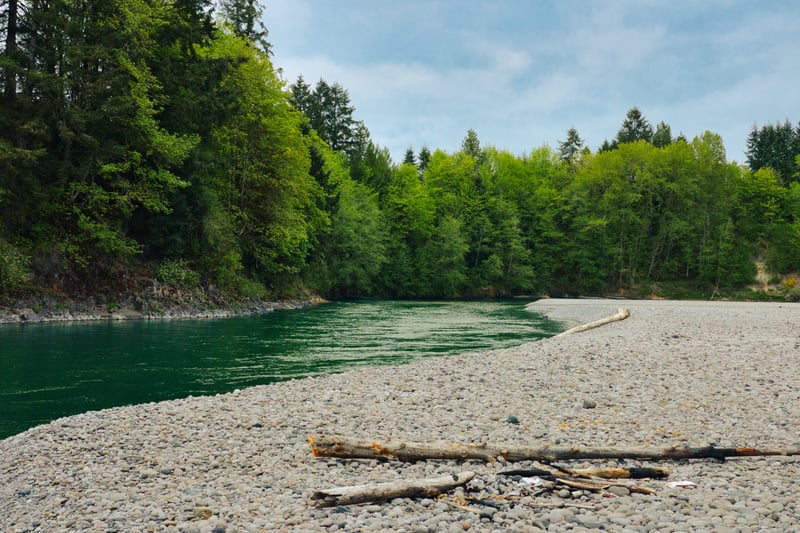 Cowlitz River Gravel Bar