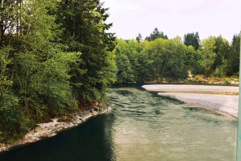 Cowlitz River Bend
