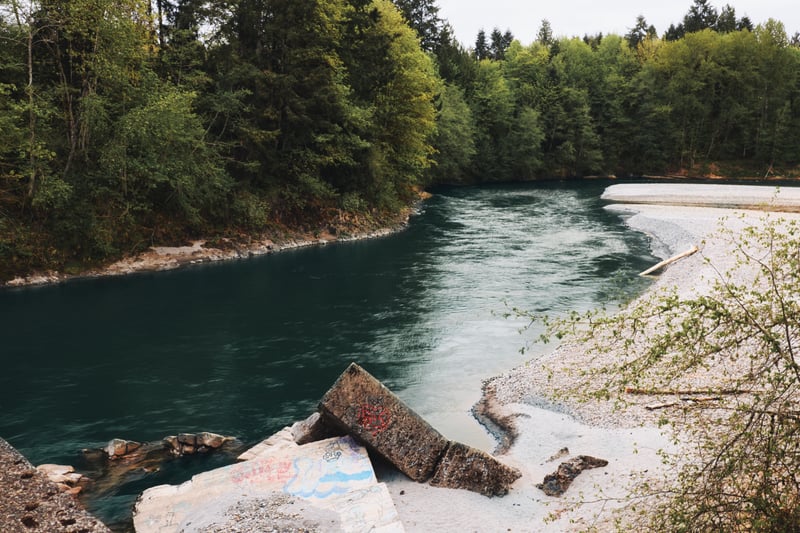 Cowlitz River Bend