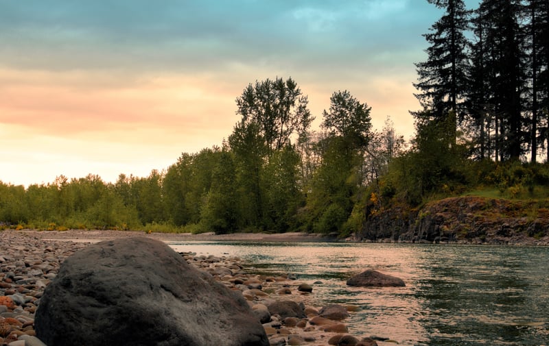 Cowlitz River Bank