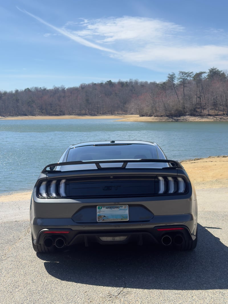 Prettyboy Reservoir Shoreline