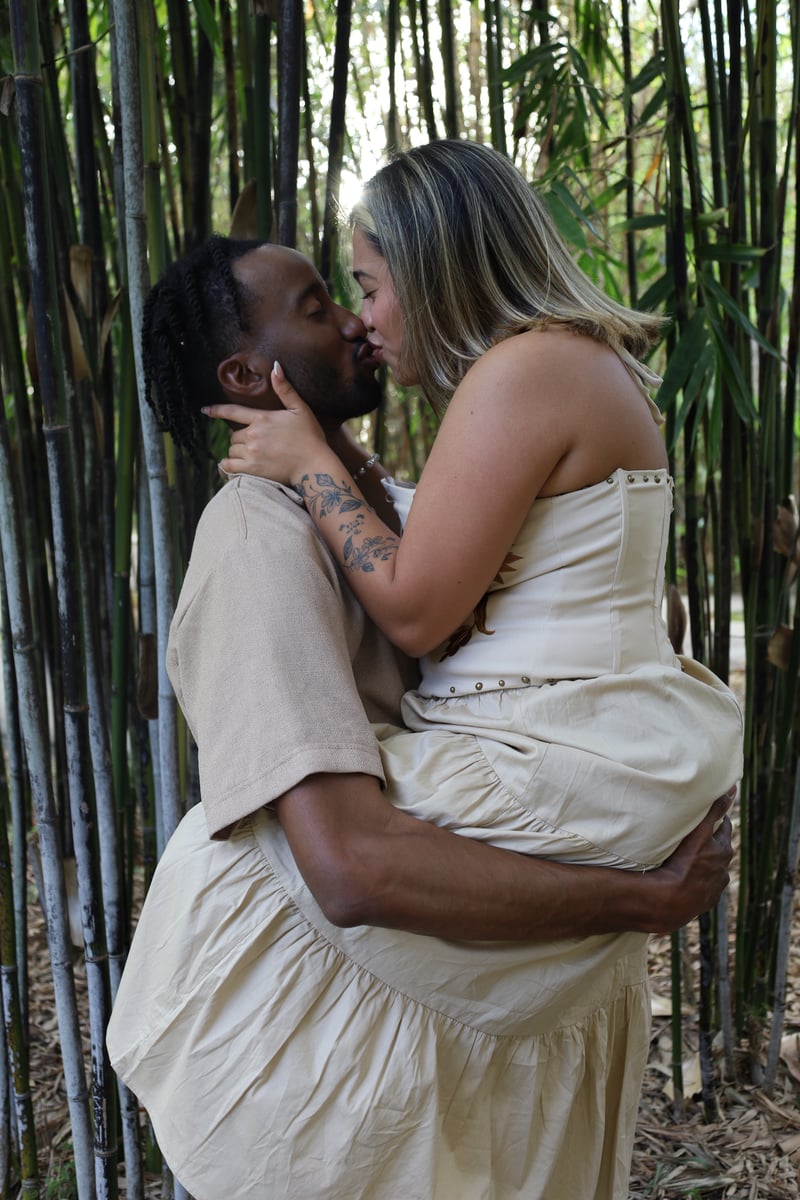 Hialeah Gardens Bamboo Grove