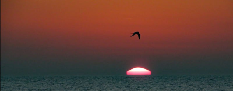 Hilton Head Island Beach