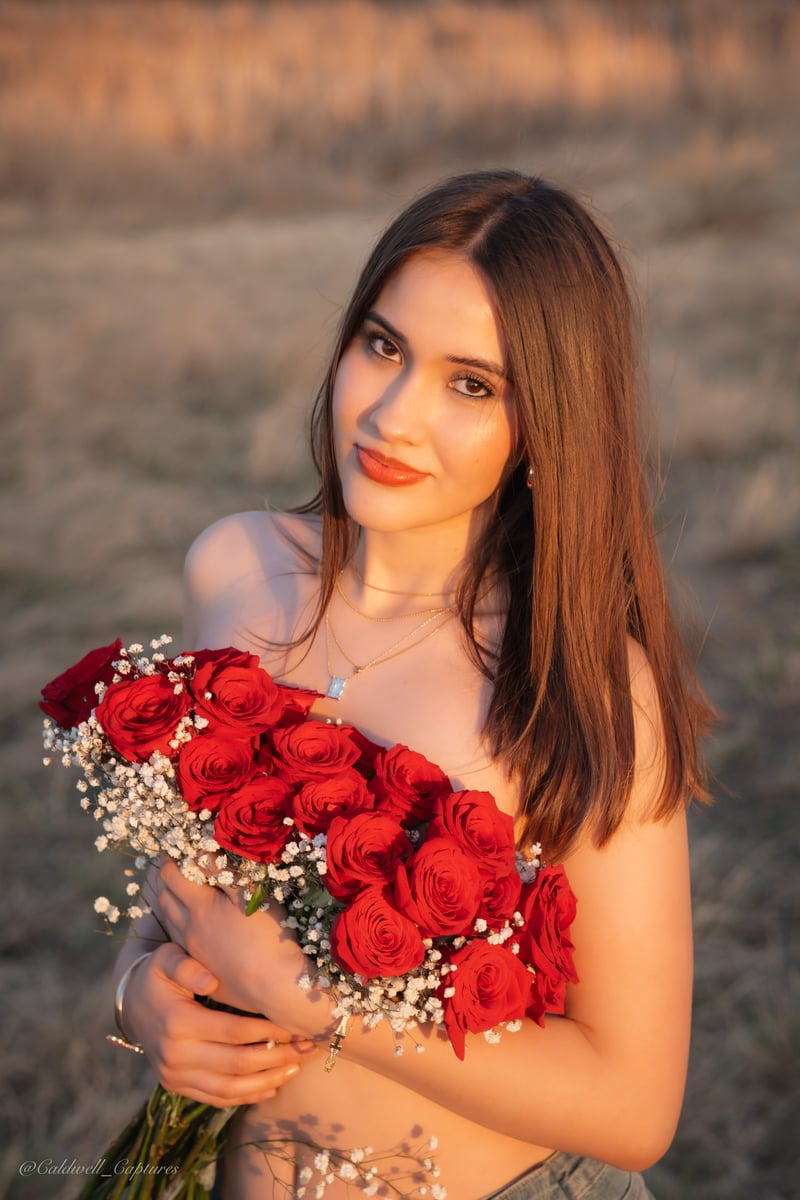 High Plains Open Field