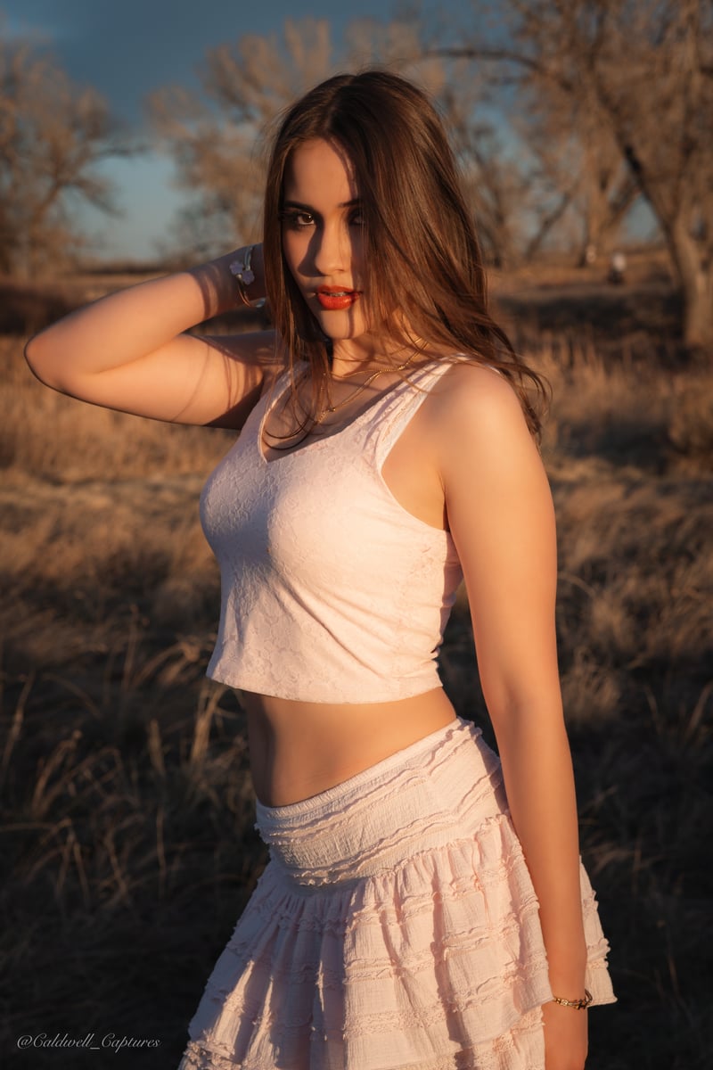 High Plains Fence Line