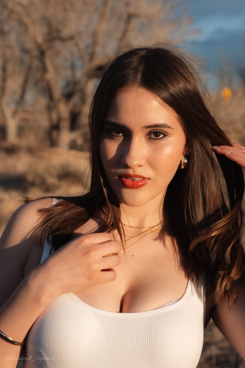 High Plains Fence Line