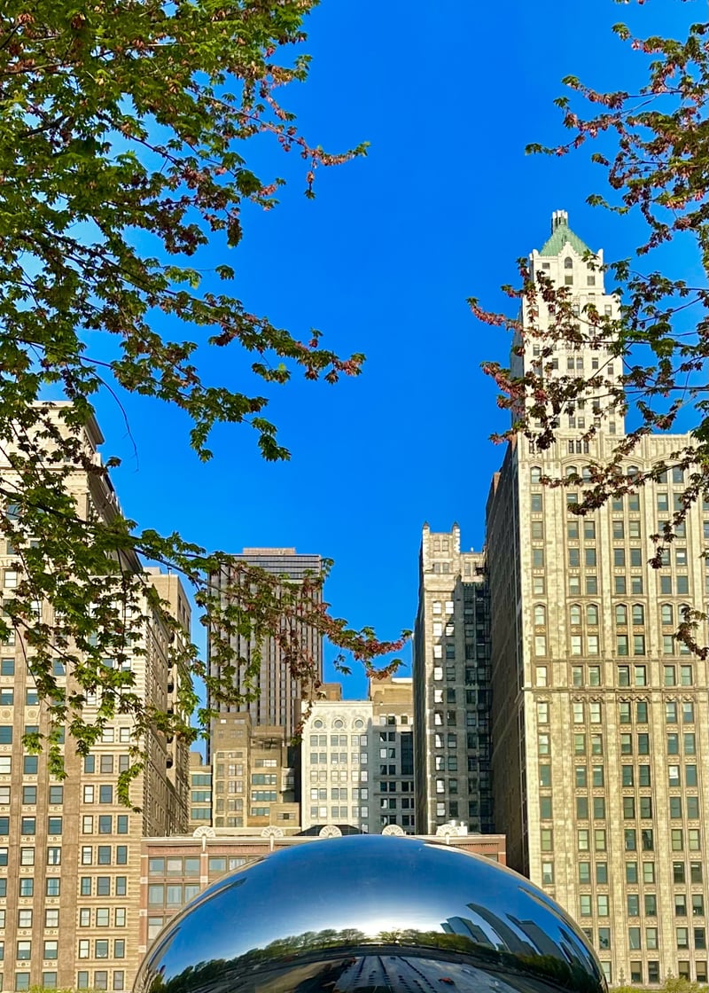 Cloud Gate (The Bean)