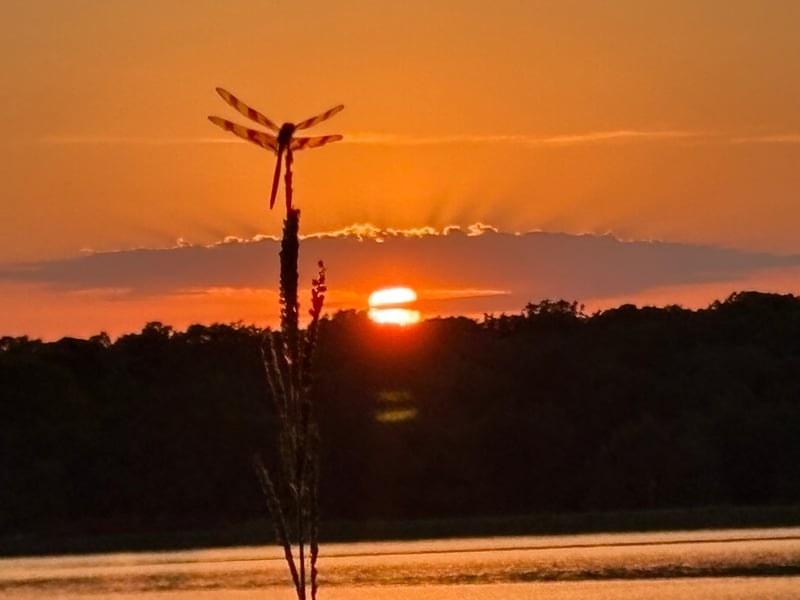 Marietta Lakeside Sunset