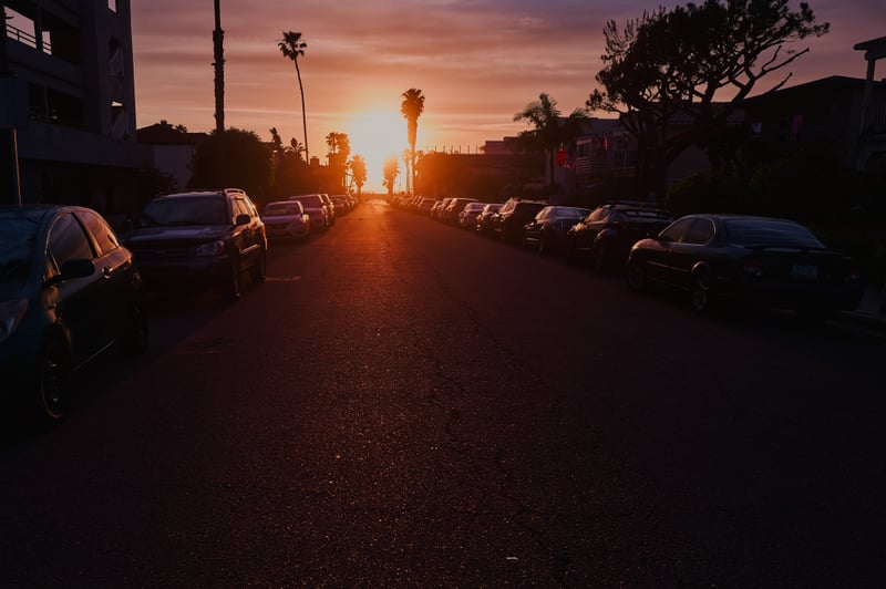 Palm Avenue Sunset Overlook