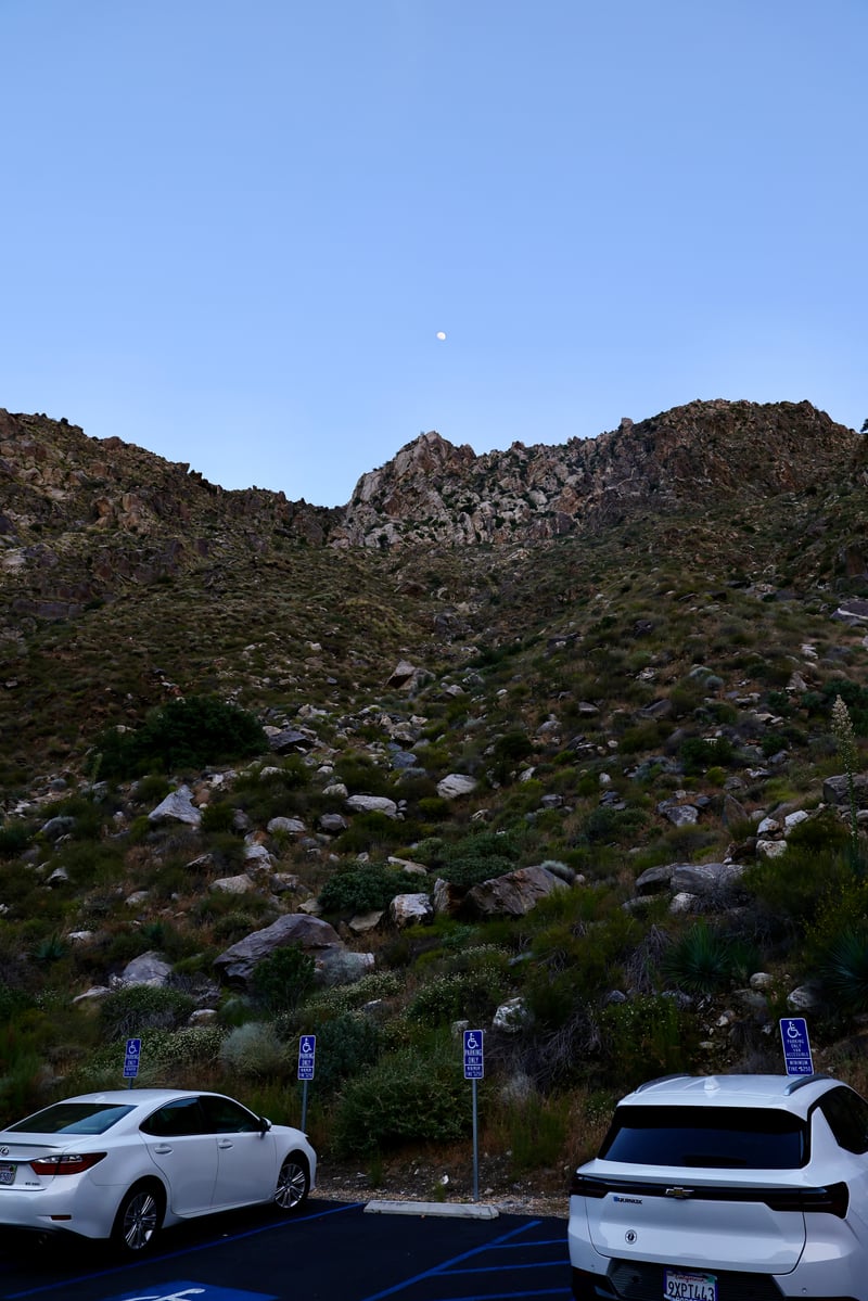 Joshua Tree Desert Foothills