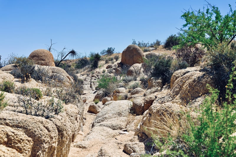 Joshua Tree Desert Boulders