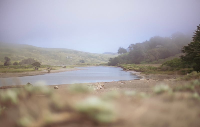 Goat Rock State Beach
