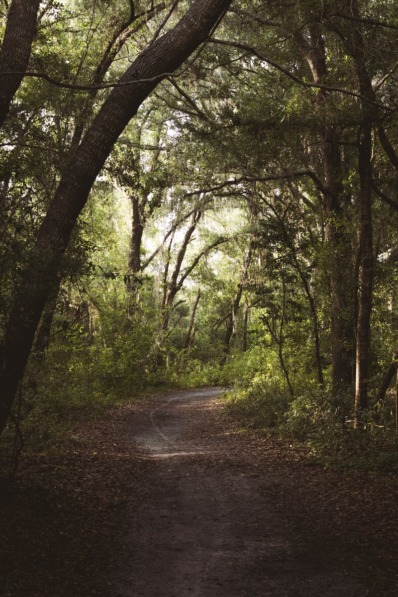 Northdale Lake Park Trail