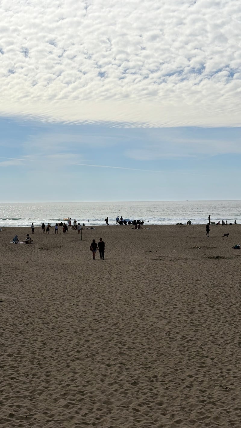 Ocean Beach